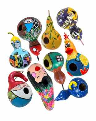 Gourd Graphic